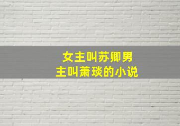 女主叫苏卿男主叫萧琰的小说