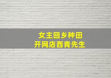 女主回乡种田开网店西青先生