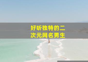 好听独特的二次元网名男生