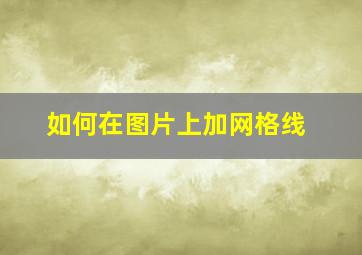 如何在图片上加网格线