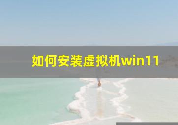 如何安装虚拟机win11