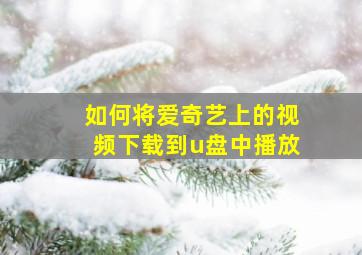 如何将爱奇艺上的视频下载到u盘中播放