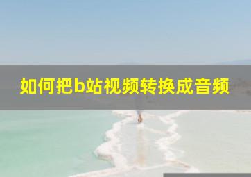 如何把b站视频转换成音频