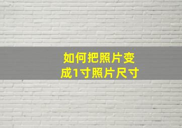 如何把照片变成1寸照片尺寸