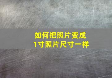 如何把照片变成1寸照片尺寸一样