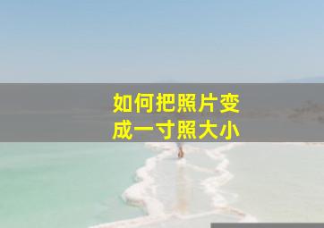 如何把照片变成一寸照大小