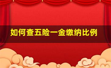 如何查五险一金缴纳比例