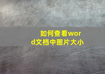 如何查看word文档中图片大小