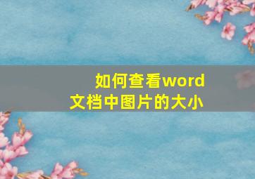 如何查看word文档中图片的大小