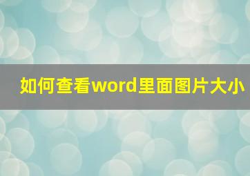 如何查看word里面图片大小