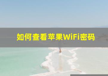 如何查看苹果WiFi密码