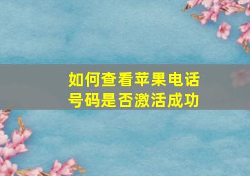 如何查看苹果电话号码是否激活成功