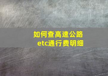 如何查高速公路etc通行费明细