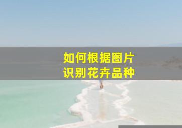 如何根据图片识别花卉品种