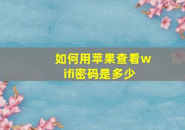 如何用苹果查看wifi密码是多少