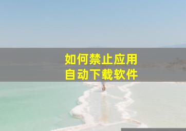 如何禁止应用自动下载软件