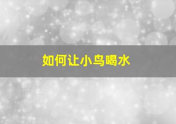 如何让小鸟喝水