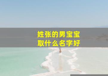 姓张的男宝宝取什么名字好