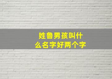 姓鲁男孩叫什么名字好两个字