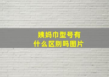 姨妈巾型号有什么区别吗图片