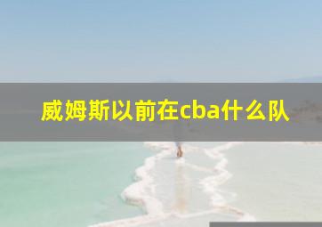 威姆斯以前在cba什么队