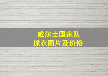 威尔士国家队球衣图片及价格