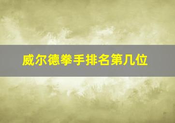 威尔德拳手排名第几位