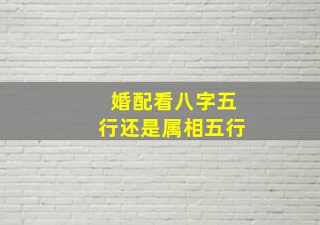 婚配看八字五行还是属相五行