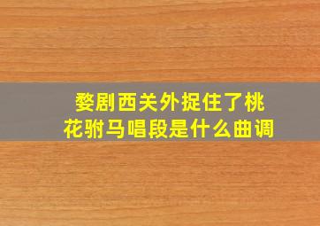 婺剧西关外捉住了桃花驸马唱段是什么曲调