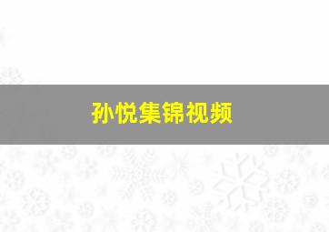 孙悦集锦视频