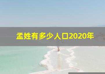 孟姓有多少人口2020年