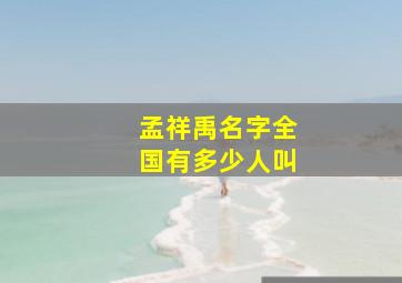 孟祥禹名字全国有多少人叫