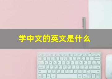 学中文的英文是什么