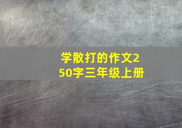 学散打的作文250字三年级上册