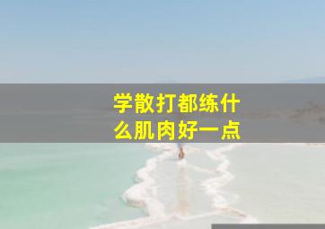 学散打都练什么肌肉好一点