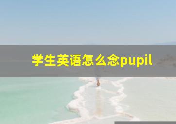 学生英语怎么念pupil