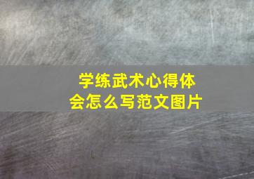 学练武术心得体会怎么写范文图片