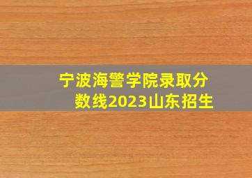 宁波海警学院录取分数线2023山东招生