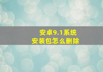 安卓9.1系统安装包怎么删除