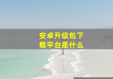 安卓升级包下载平台是什么