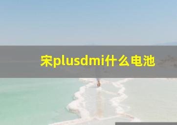 宋plusdmi什么电池