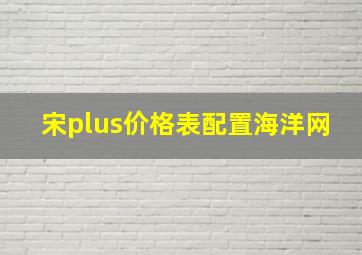 宋plus价格表配置海洋网