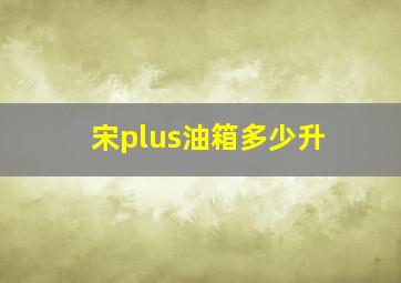 宋plus油箱多少升