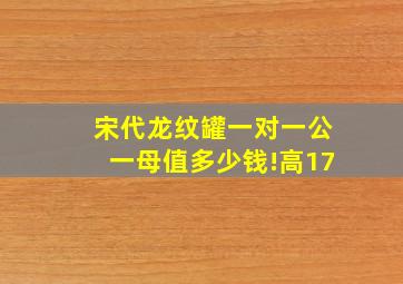 宋代龙纹罐一对一公一母值多少钱!高17