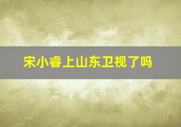 宋小睿上山东卫视了吗