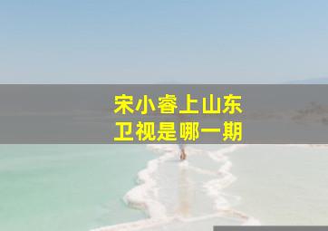 宋小睿上山东卫视是哪一期