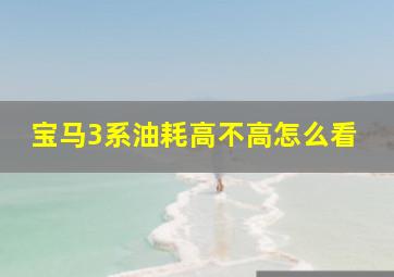 宝马3系油耗高不高怎么看