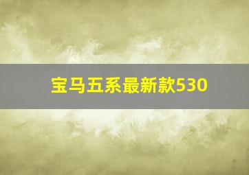 宝马五系最新款530