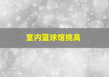 室内篮球馆挑高