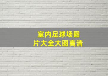 室内足球场图片大全大图高清